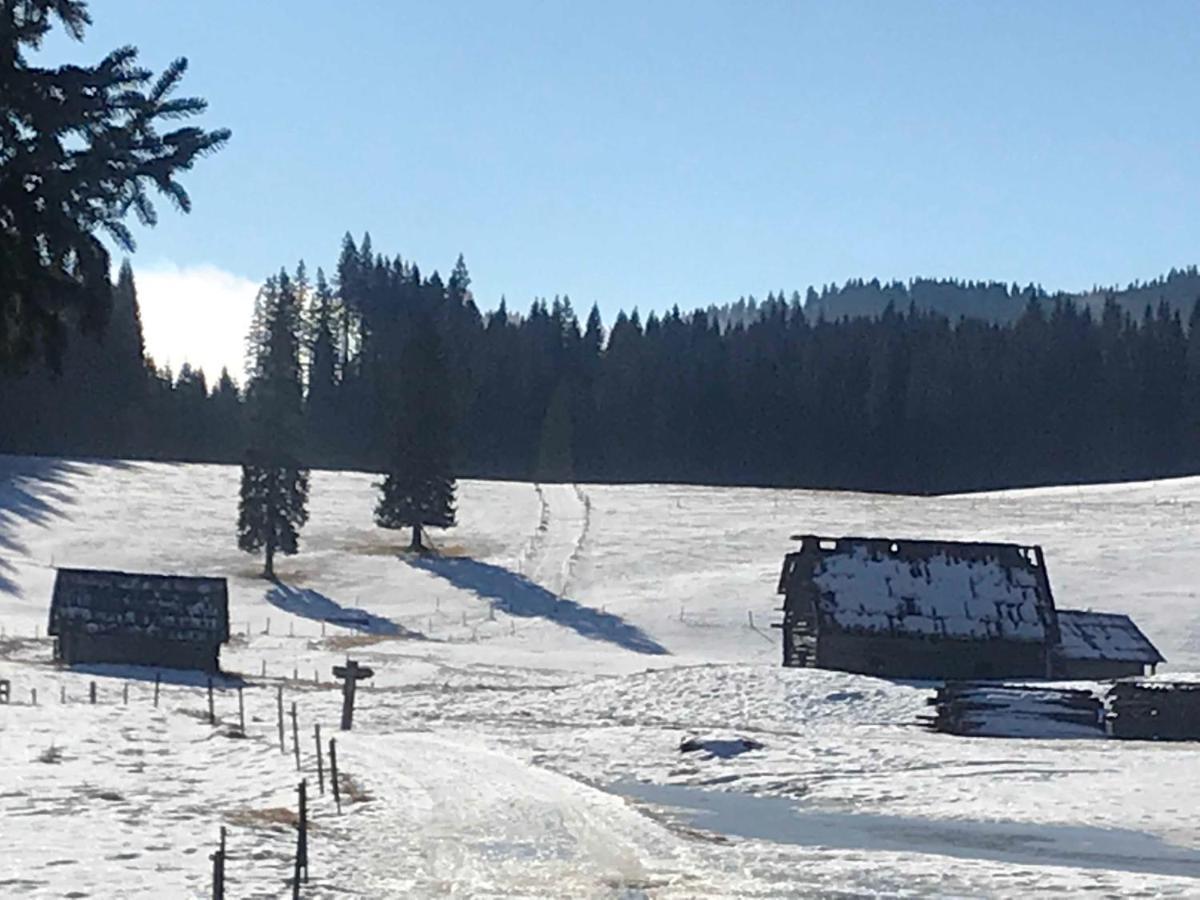 Chalet Stara Jelka Pokljuka Zgornje Gorje Exterior photo