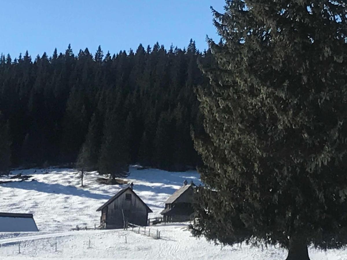 Chalet Stara Jelka Pokljuka Zgornje Gorje Exterior photo